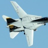 Радиоуправляемый самолет Art-tech F-14 EPO - 2.4G - 21291